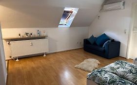 A&V Apartments Gemuetliche Rheinblick Wohnung Apt Daisy